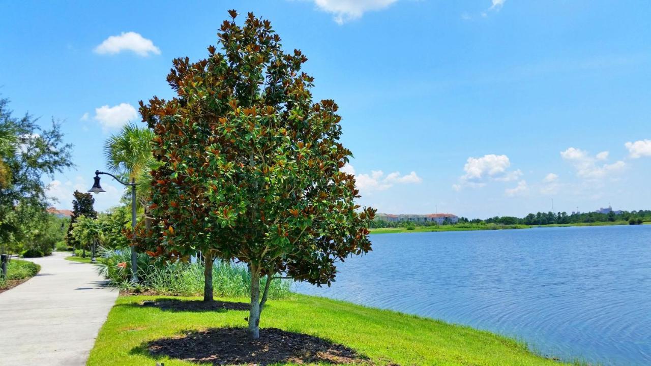 Beautiful Pet Friendly Condo Near Pool Орландо Екстериор снимка
